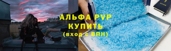 ПСИЛОЦИБИНОВЫЕ ГРИБЫ Богданович