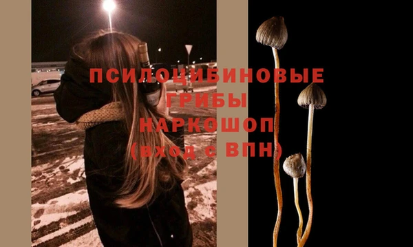 ПСИЛОЦИБИНОВЫЕ ГРИБЫ Богданович